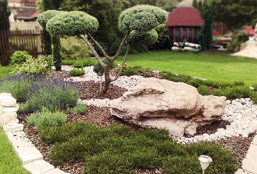 Formschnitt für Buchsbaum - mediterraner Garten Galeriebild