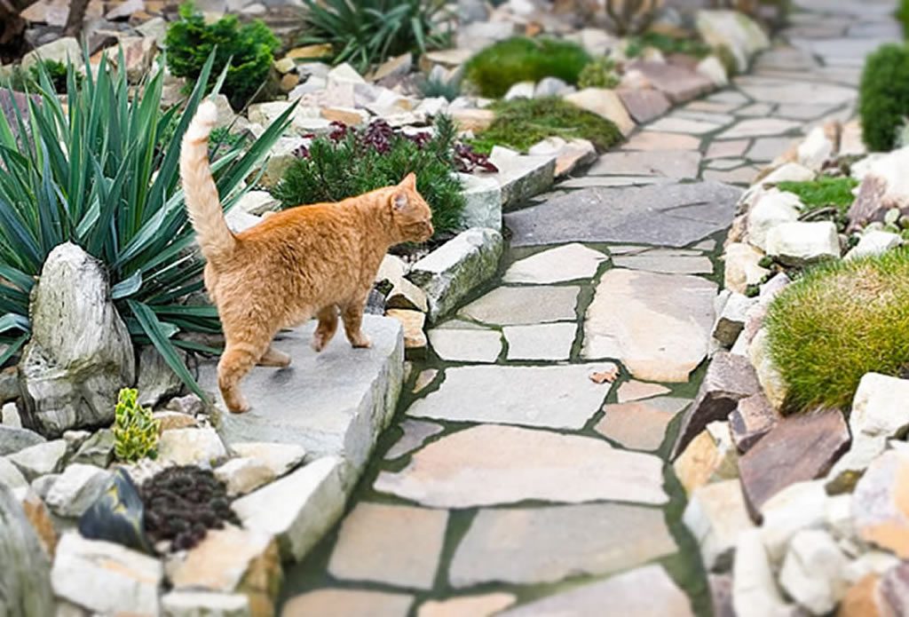 Garten mediterran und pflegeleicht - Gartengestaltung mit ...