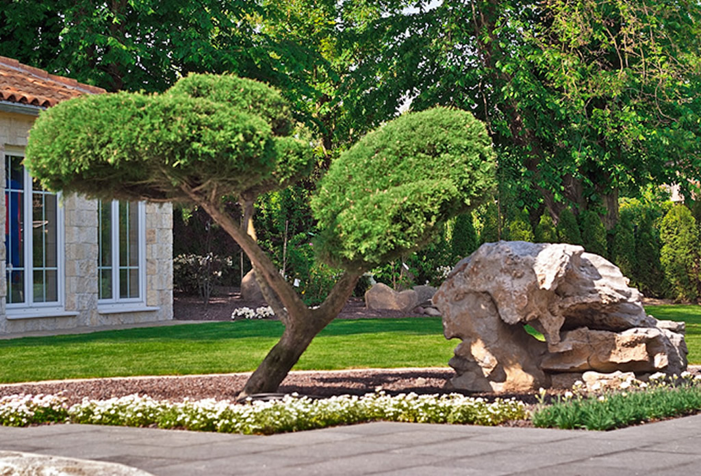 Kombination von Pflanzen und Steinen - moderne japanische Gärten - Galeriebild