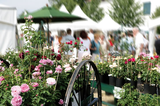 Lebensart Messe Ausstellung - News Naturstein Garten - Bildquelle: lebensart-messe.de