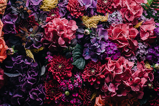 Blumenbild - News Naturstein Garten