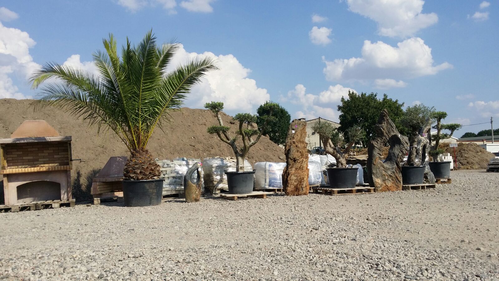 Ozeanfindlinge mit Pflanzen - News Naturstein Garten - Bildquelle: LPM Naturstein