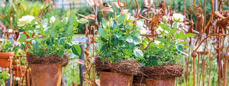 Messe Lebensart - Gartendeko - News Naturstein Garten - Bildquelle: Das AgenturHaus GmbH