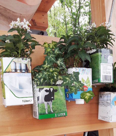 Tetrapacks als Pflanzschalen - IGA Berlin - Naturstein, Garten- und Landschaftsbau LPM Schmidt Krostitz