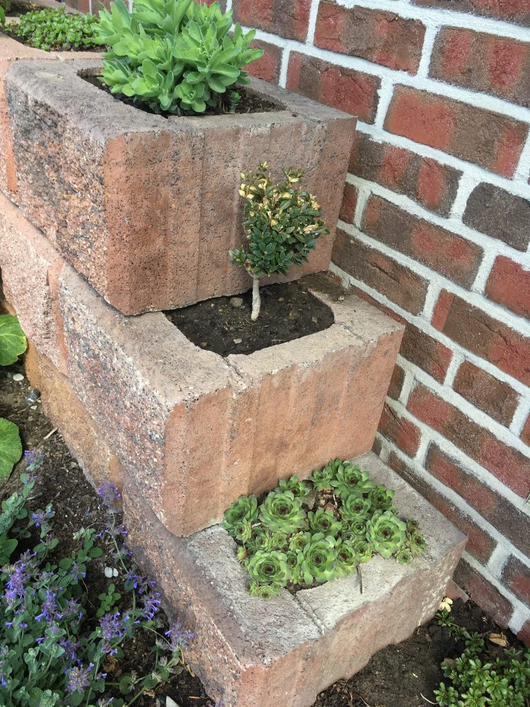 vertikales Gärtnern - LPM Naturstein Garten und Landschaftsbau