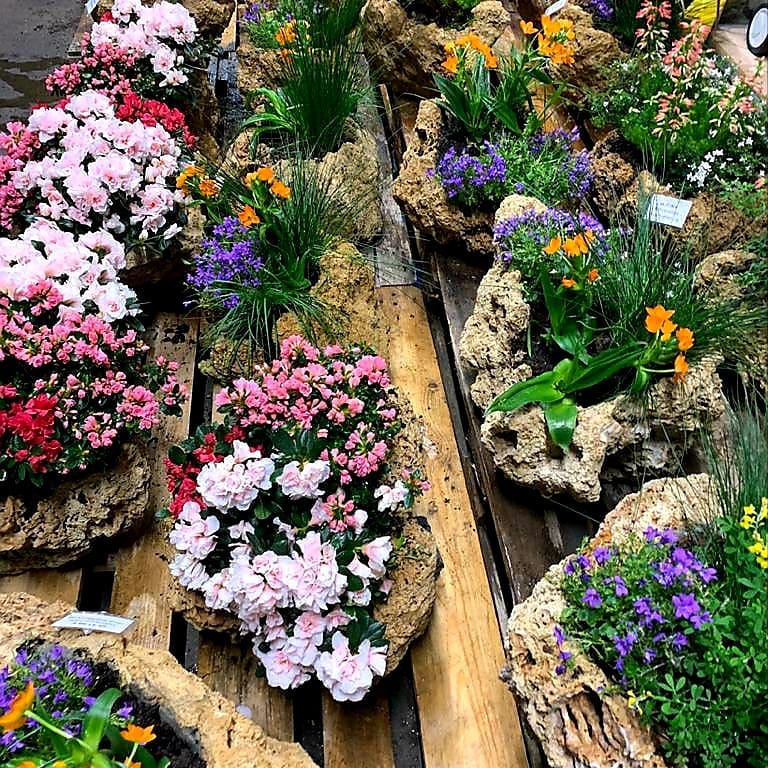 Blumen Pflanzschalen aus Tuffstein LPM Landschaftsgestaltung Krostitz bei Leipzig