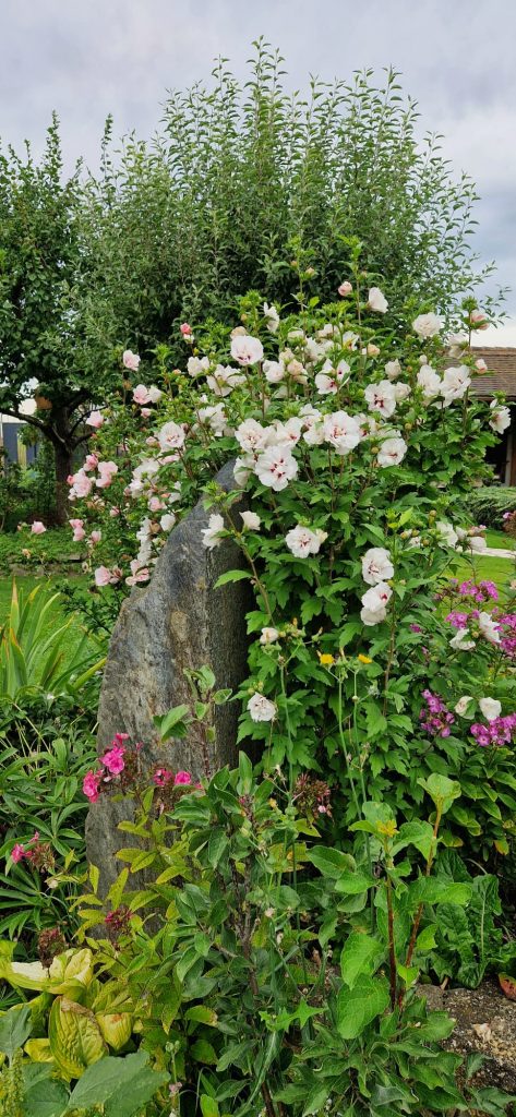 Gartengestaltung in Krostitz