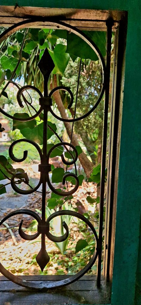 Blick durchs Fenster in den Garten