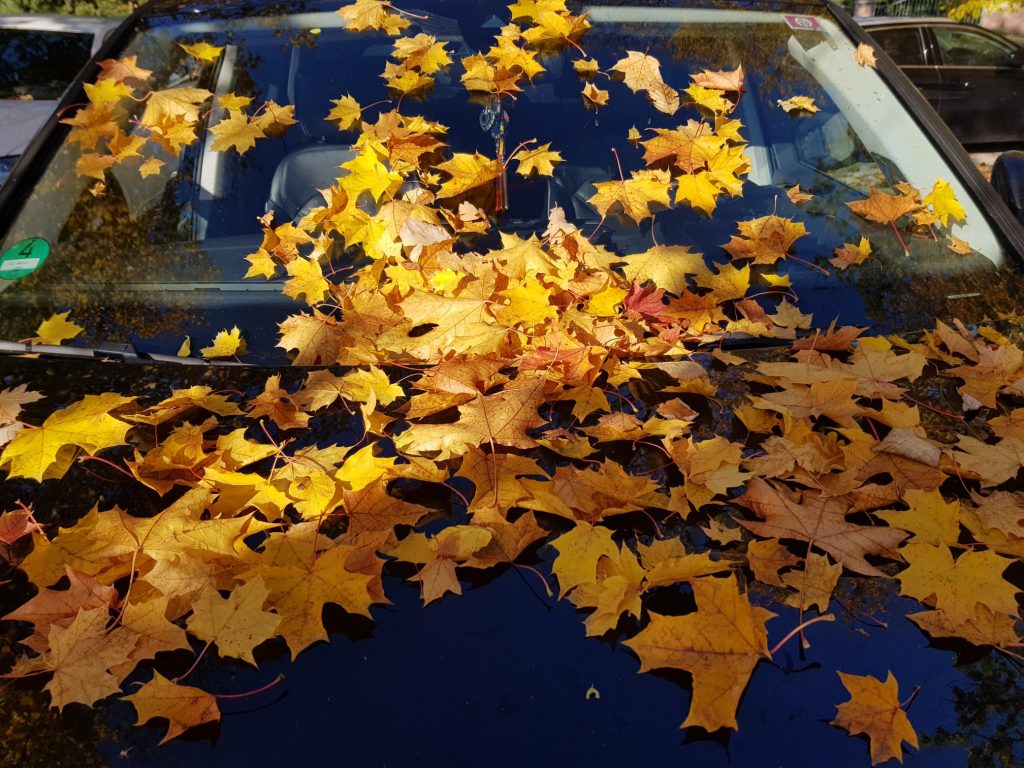 Herbsttage