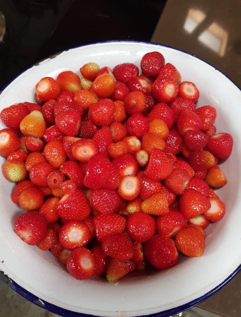 Erdbeeren
