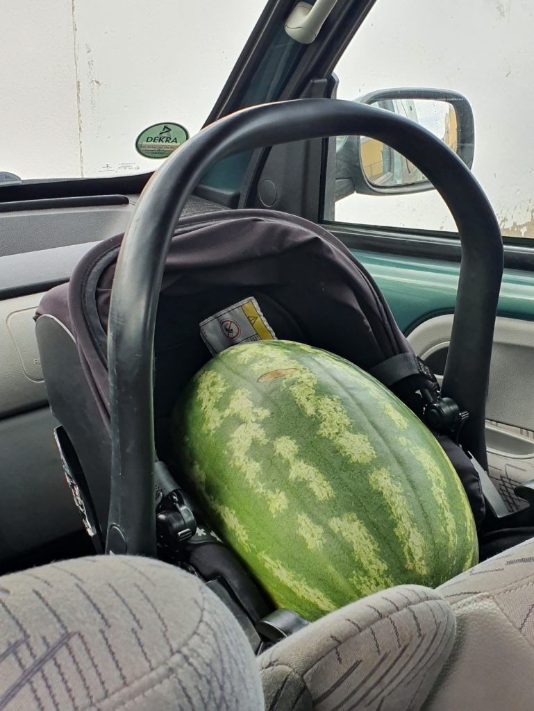 Melone im Kindersitz - Safety First!