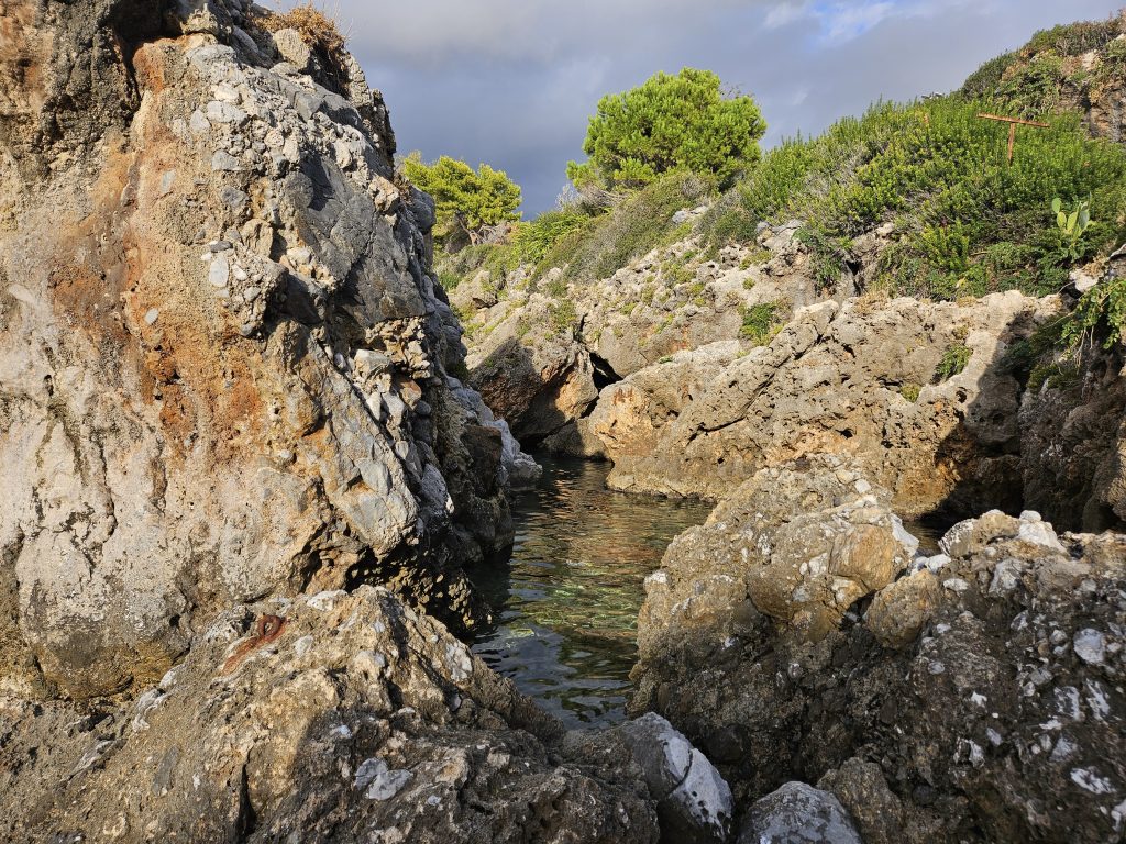 Steine, Wasser und Pflanzen