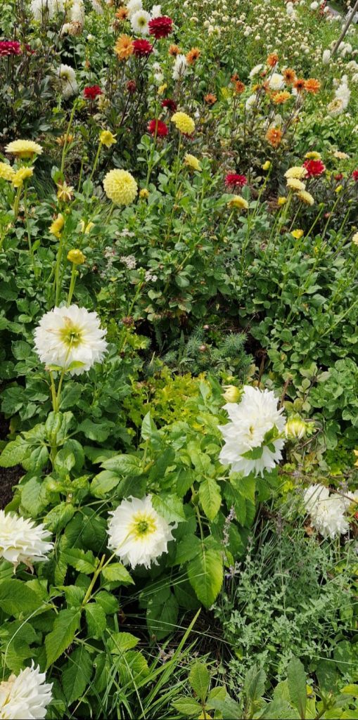 Duftgarten