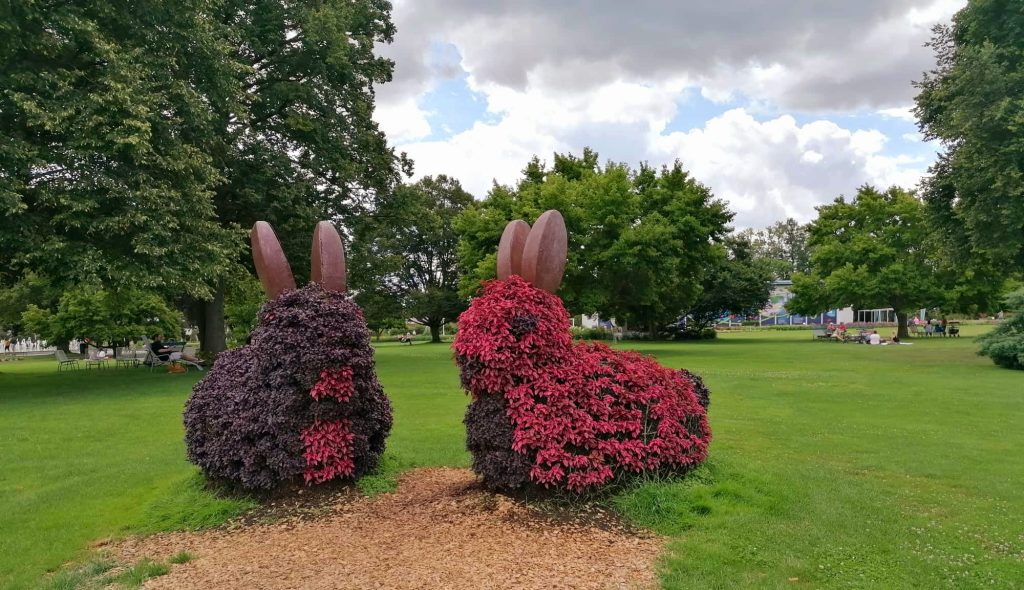 Osterhasen in freier Wildbahn