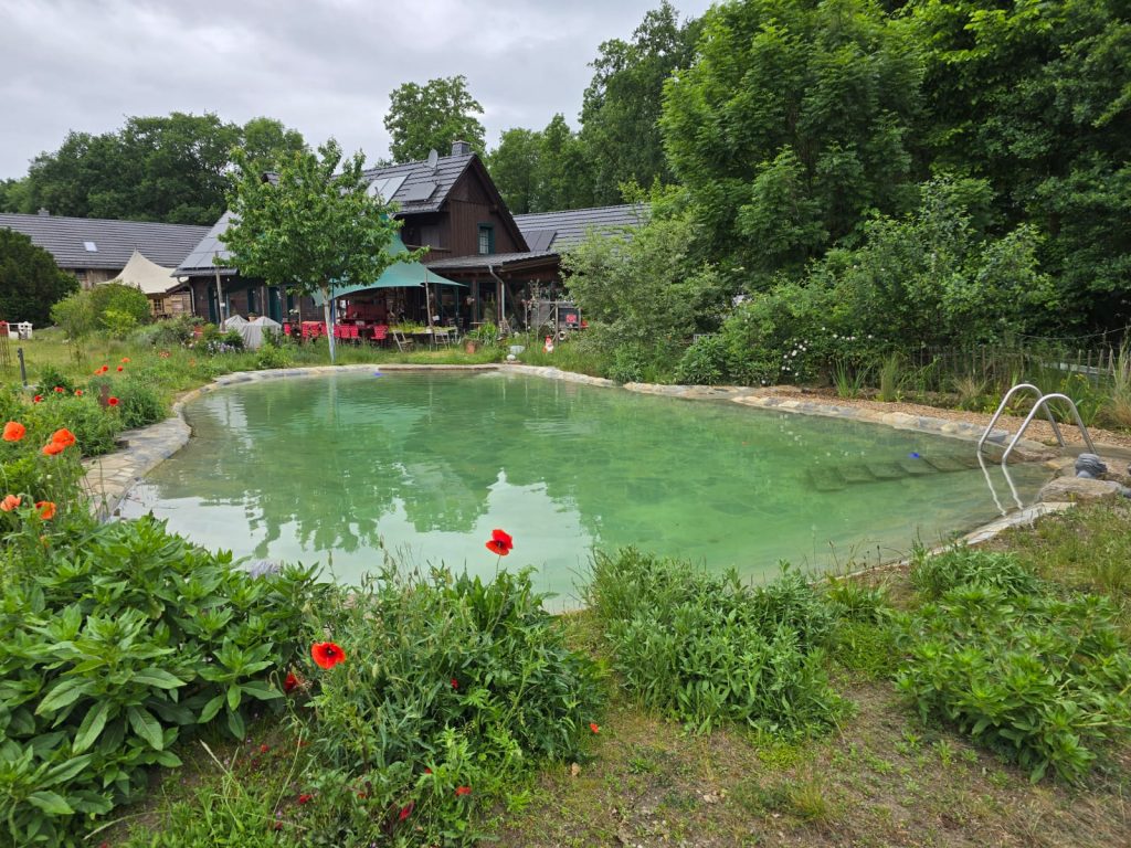 Gartenperle Naturpool