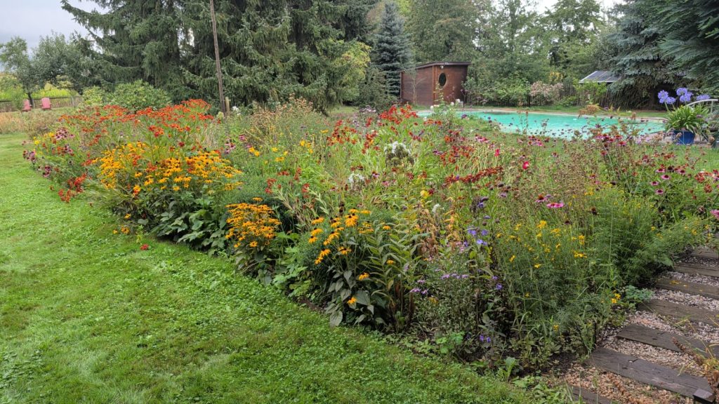 Staudenbeet Pflanzung durch Garten- und Landschaftsbau LPM Krostitz bei Leipzig